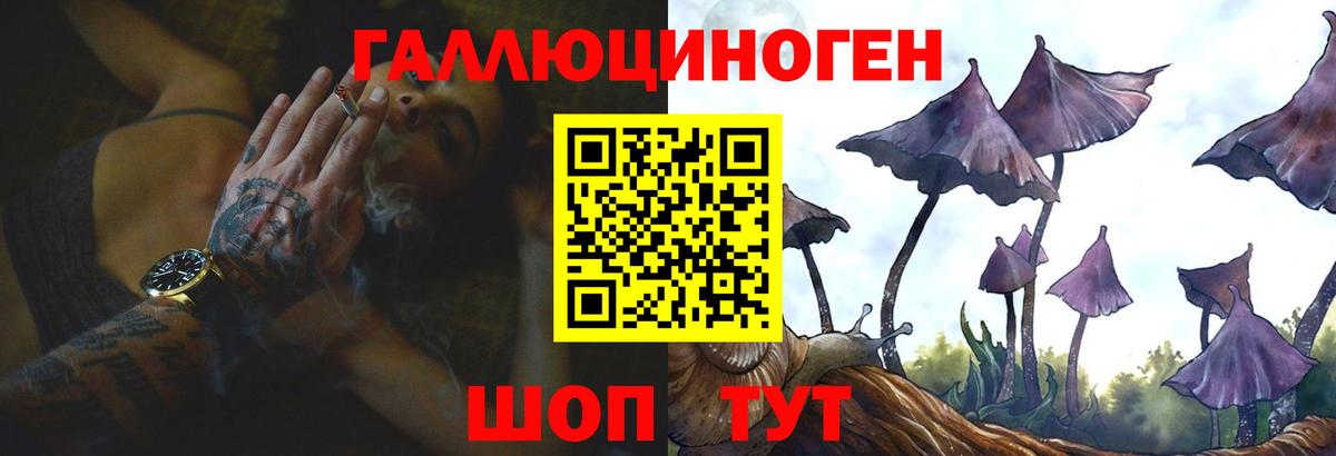 Псилоцибиновые грибы мицелий Димитровград